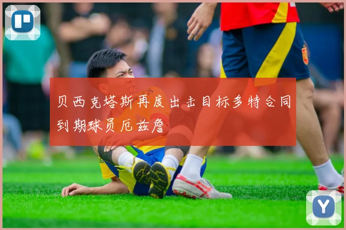贝西克塔斯再度出击目标多特合同到期球员厄兹詹